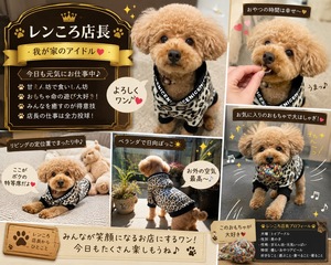 レンころ店長🐶