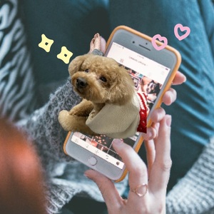 休暇・・・