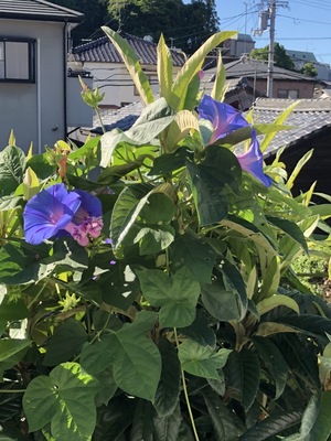 優しいスタッフ揃ってます！