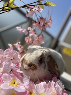 ◆同じお店の子と仲良くするのはやめた方がいいですか？