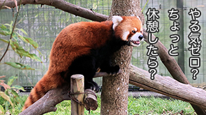 ★「初心者にまず伝えたいアドバイスって何ですか？」