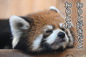 ★「普段から気をつけている健康習慣ってありますか？」