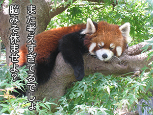 ★「人の顔や名前を覚えるコツってありますか？」
