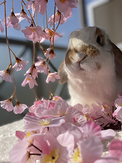 ◆休日の楽しみを紹介してください！