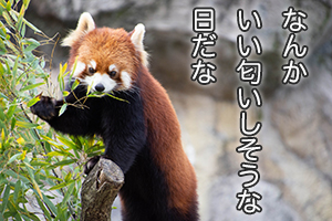 ★「キャラ作りって必要なんですか？それとも自然体のほうがいいですか？」