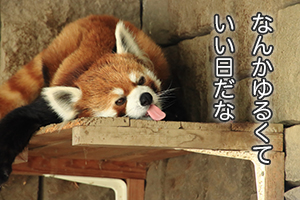 ★「相手の呼び方って統一したほうがいいんですか？」
