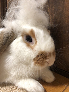 ◆1日体験はありますか？