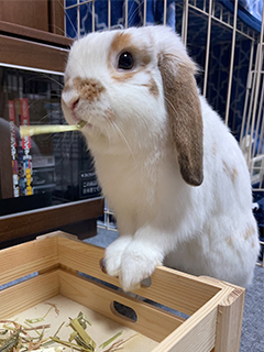 ◆今までで一番印象に残ったお客様について教えて下さい。