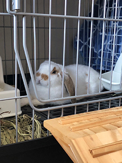 ◆これはやっちゃダメ！お仕事でのNG行動を教えてください！