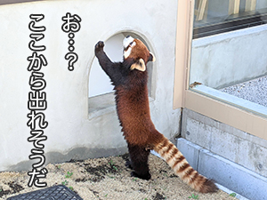 ★「苦手なことを上手に断る方法ってありますか？」