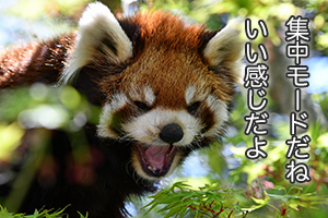 ★「人生で一番おいしかった“忘れられない一皿”ってありますか？」