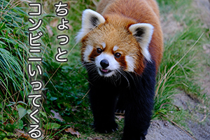 ★「普段からやっている健康管理ってありますか？」