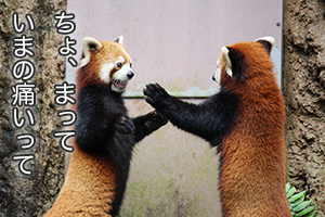 ★「文章が上手い人に共通するポイントって何ですか？」
