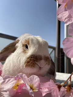 ◆フリーで来られるお客様の割合を教えてください！