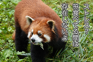 ★「人からもらって嬉しかった意外なプレゼントを教えてください！」