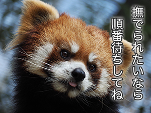 ★「ストレスを溜めないための習慣を教えてください！」