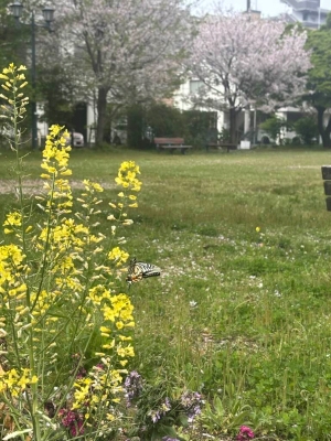 お外で撮影☀️
