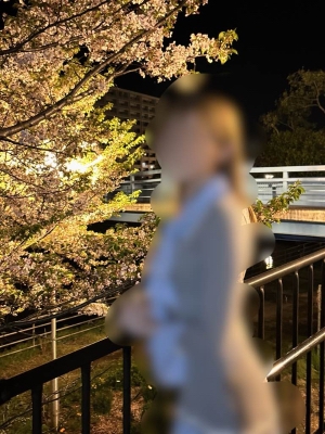 夜桜🌸でパネルの撮影しました！
