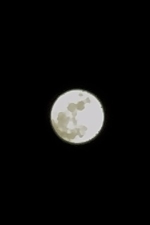 ⭐️今回のお題は【写真の撮り方難しい】です🎶