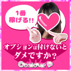 オプションは付けないとダメですか？