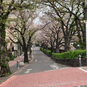 お店のコンセプトは何ですか？