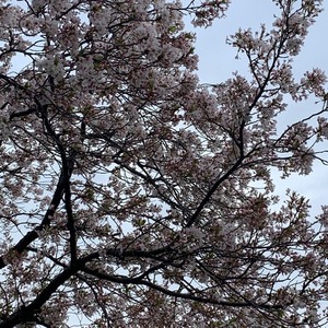 どうしても眠たい時、 どうやって目を覚ましていますか？