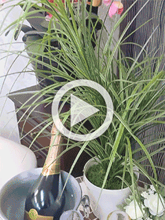 【遅番で苦戦中の方へ】【急募】他店在籍中「遅番」で苦戦中の方は恋女房どうですか！？