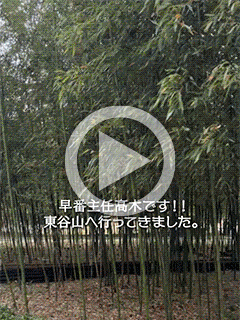 【山登り】東谷山【早番主任ブログ】　