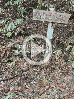 【早番主任ブログ】南沢山