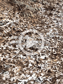 【早番主任ブログ】網掛山