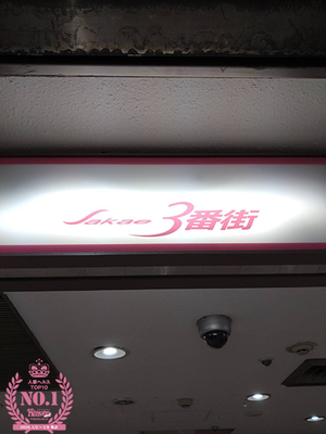 下町ブルースと格闘技ロマン