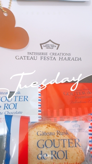 広島ココ🌼見てねん👀