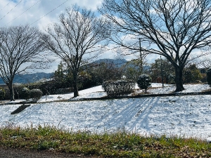 ❄️雪が降るとテンション上がる⤴️