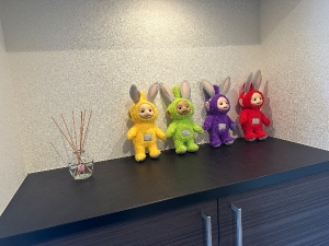 🍃お掃除DAY🧼