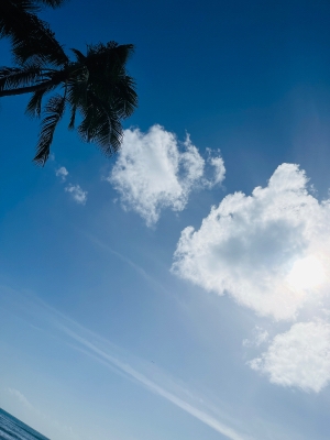 素敵💓疲れなんて消え去れ〜