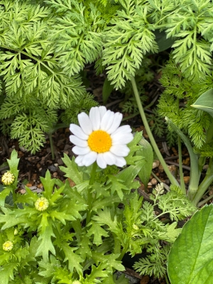 バッタバタの1日です🥺