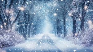 ⛄雪やコンコンあられやコンコン