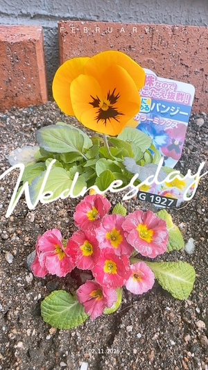 なんて日だ❢考えちゃダメ✖💔