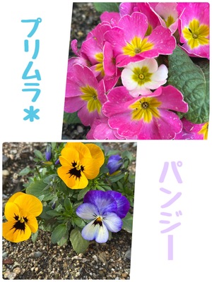 I felt spring in the air.（春の気配感じます）