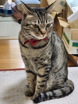 求人に関して嘘無しでやってきたから今日がある