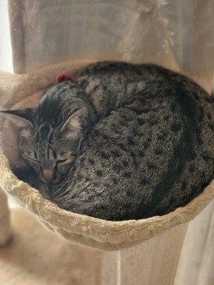 多少の融通は利きます　安心して下さい(^^♪