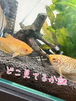 あなたの「普通」が誰かの「特別」