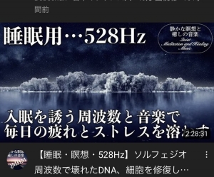 ★不眠症の私