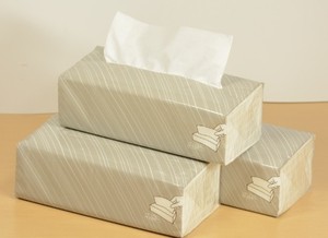 【真島ぶろぐ】ティッシュじゃないちりし