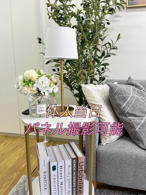 新人からガッツリ稼ぐための スタートダッシュの方法✨