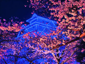 【番外編】外でリフレッシュ！福岡市内を満喫しよう！