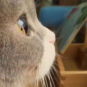 【春はスタートの季節】未経験大歓迎🌸