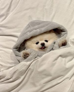 【実は】指名が止まらない！？「写メ日記」攻略の3つの鉄則