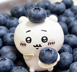 【　　美　　】