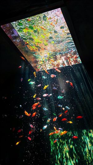 【移籍大歓迎】安心サポートでキャリアアップ！ハイクラス環境で次のステージへ✨